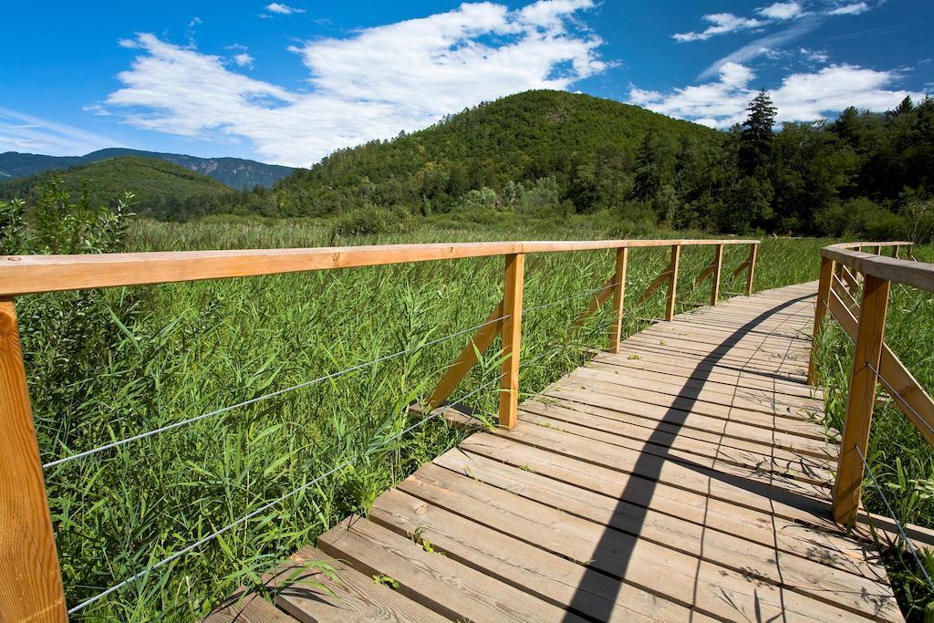 Residence Haus Kalterersee กัลดาโร ภายนอก รูปภาพ